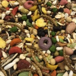 Hamster Food