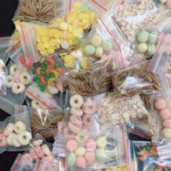 Various nutritious foods for hamsters