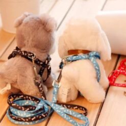Anti-scratch pet dog chest leash - Dog pet bib leash