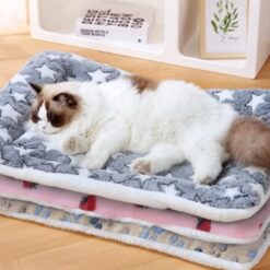 ABC red square mattress size 2